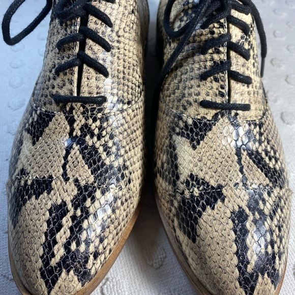 COLE HAAN Modern Classic Oxford - Python Printed Leather - Picture 15 of 16